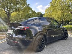 Tesla Model Y Long Range Edition - фото 4