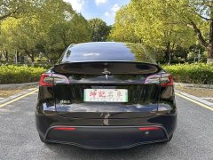 Tesla Model Y Long Range Edition - фото 5