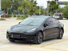 Tesla Model 3 Edition - фото 1