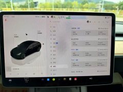 Tesla Model 3 Edition - фото 15