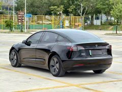 Tesla Model 3 Edition - фото 8