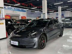 Tesla Model 3 PerformancePerformance Edition - фото 1