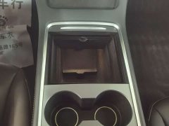 Tesla Model 3 PerformancePerformance Edition - фото 10