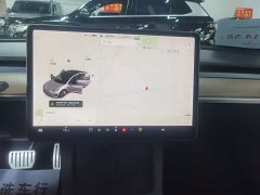 Tesla Model 3 PerformancePerformance Edition - фото 11