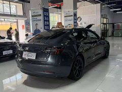 Tesla Model 3 PerformancePerformance Edition - фото 4