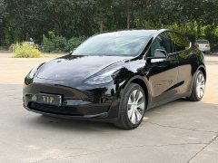 Tesla Model Y Edition - фото 1