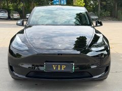 Tesla Model Y Edition - фото 2