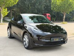 Tesla Model Y Edition - фото 3