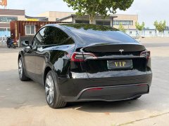 Tesla Model Y Edition - фото 4