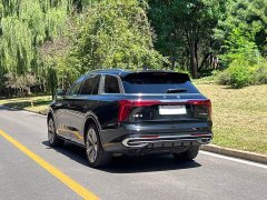 Hongqi E-HS9 460km Edition - фото 8