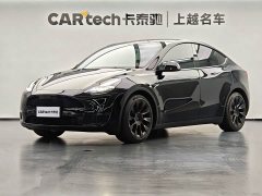Tesla Model Y Edition - фото 1