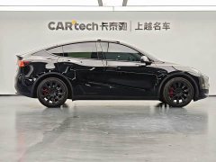 Tesla Model Y Edition - фото 13