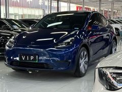 Tesla Model Y Long Range Edition - фото 1