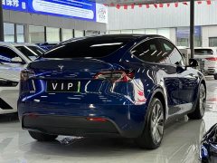 Tesla Model Y Long Range Edition - фото 11