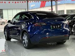 Tesla Model Y Long Range Edition - фото 13