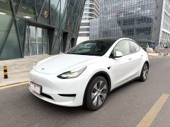 Tesla Model Y long-range all-wheel drive version - фото 1