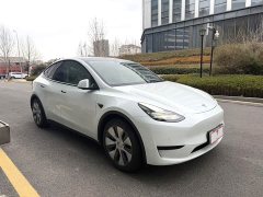 Tesla Model Y long-range all-wheel drive version - фото 3