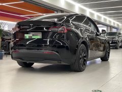 Tesla Model Y standard range rear-wheel drive version - фото 11