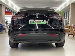 Tesla Model Y standard range rear-wheel drive version - фото 12