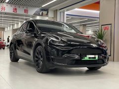Tesla Model Y standard range rear-wheel drive version - фото 3