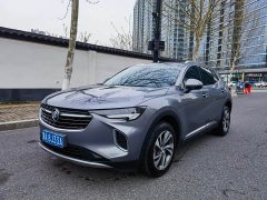 Lexus Envision S Envision S 552T two-wheel drive luxury - фото 1
