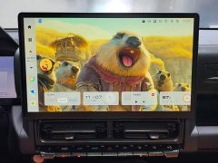 Haval Hi4 145 Pro - фото 14