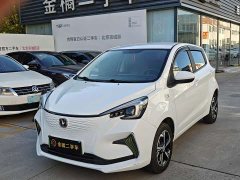 Changan E-Star Edition (31.18kWh) - фото 1