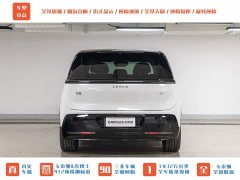 Zeekr MIX Smart Drive Edition - фото 8