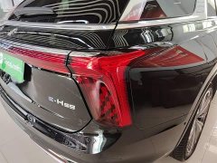 Hongqi E-HS9 690km Edition - фото 8