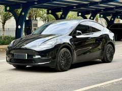 Tesla Model Y Long Range Edition - фото 1