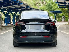 Tesla Model Y Long Range Edition - фото 11