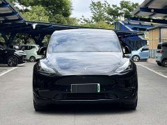 Tesla Model Y Long Range Edition - фото 2