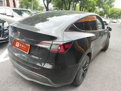 Tesla Model Y Edition - фото 2