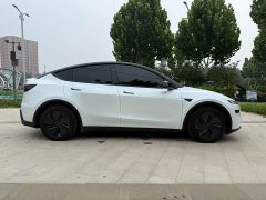 Tesla Model Y Edition - фото 4