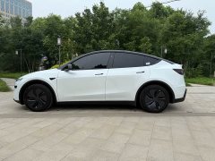 Tesla Model Y Edition - фото 5