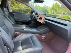 Tesla Model 3 Edition - фото 10