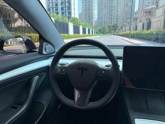 Tesla Model 3 Edition - фото 11