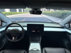 Tesla Model 3 Edition - фото 12