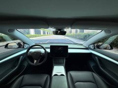 Tesla Model 3 Edition - фото 13