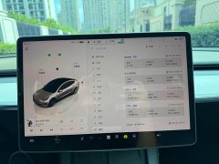 Tesla Model 3 Edition - фото 3