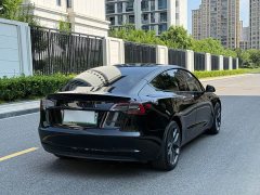 Tesla Model 3 Edition - фото 6