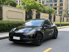 Tesla Model Y Standard Range Edition - фото 1