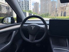 Tesla Model Y Standard Range Edition - фото 12