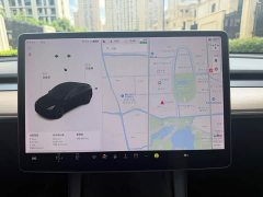 Tesla Model Y Standard Range Edition - фото 2