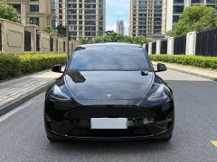 Tesla Model Y Standard Range Edition - фото 3