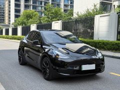 Tesla Model Y Standard Range Edition - фото 4