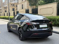 Tesla Model Y Standard Range Edition - фото 7