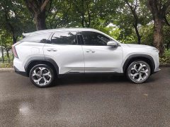Geely L 2.0TD DCTFlagship Version - фото 3