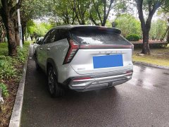 Geely L 2.0TD DCTFlagship Version - фото 6