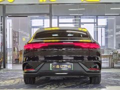 BYD DM-p Edition - фото 16